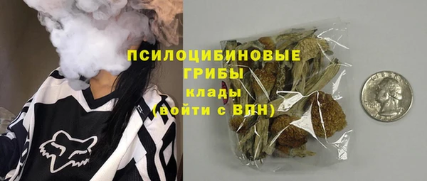 мяу мяу мука Елизово