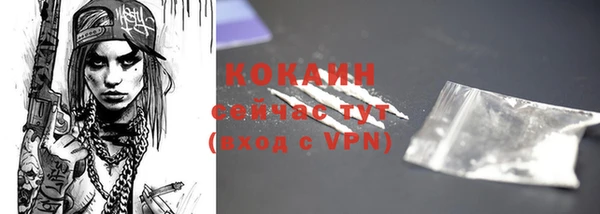 mix Ельня