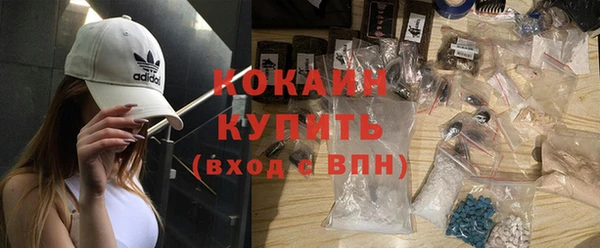 соль ск Няндома