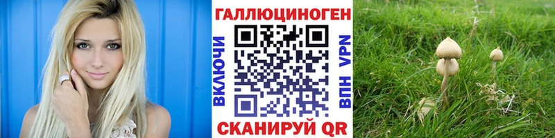blacksprut онион  Пыть-Ях  Галлюциногенные грибы GOLDEN TEACHER  дарнет шоп 