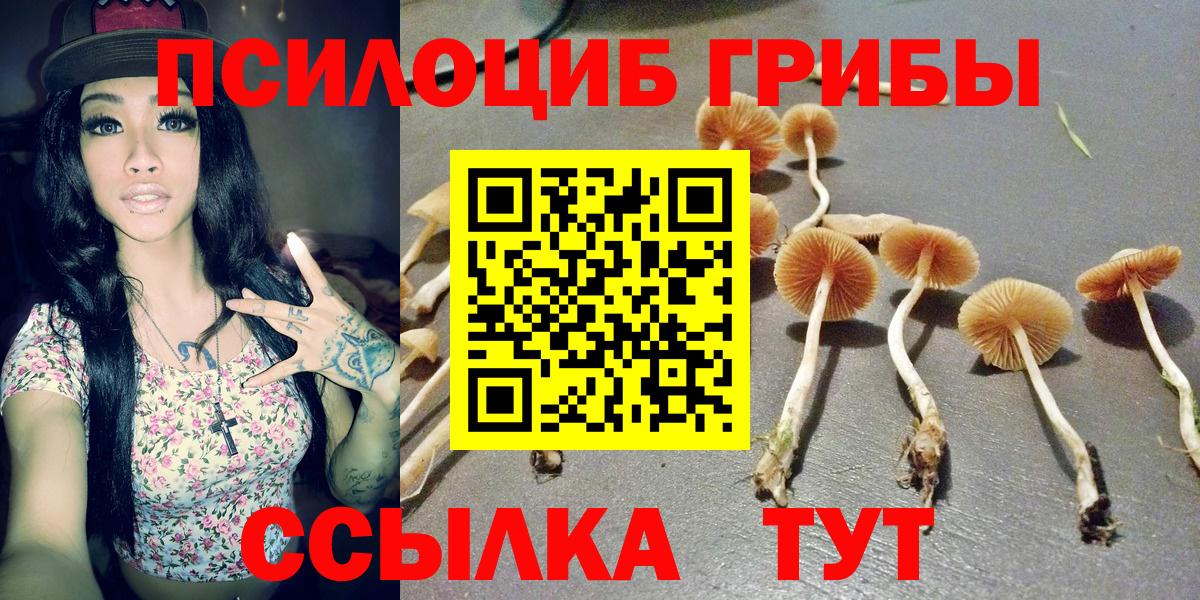 Псилоцибиновые грибы GOLDEN TEACHER Пыть-Ях