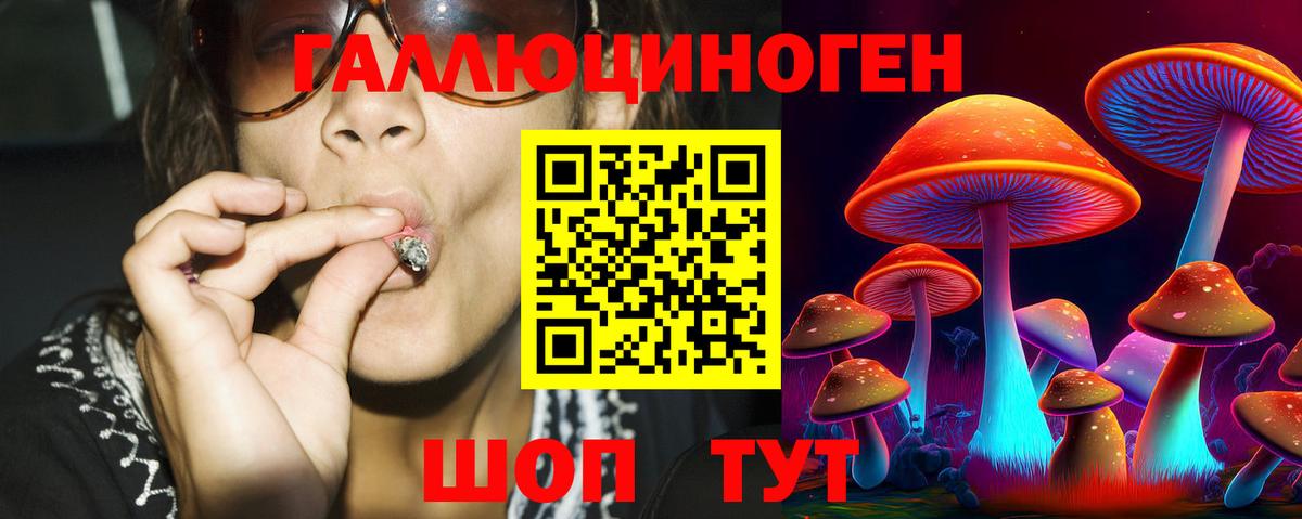 Пыть-Ях  Галлюциногенные грибы прущие грибы  где найти   Вход с VPN 