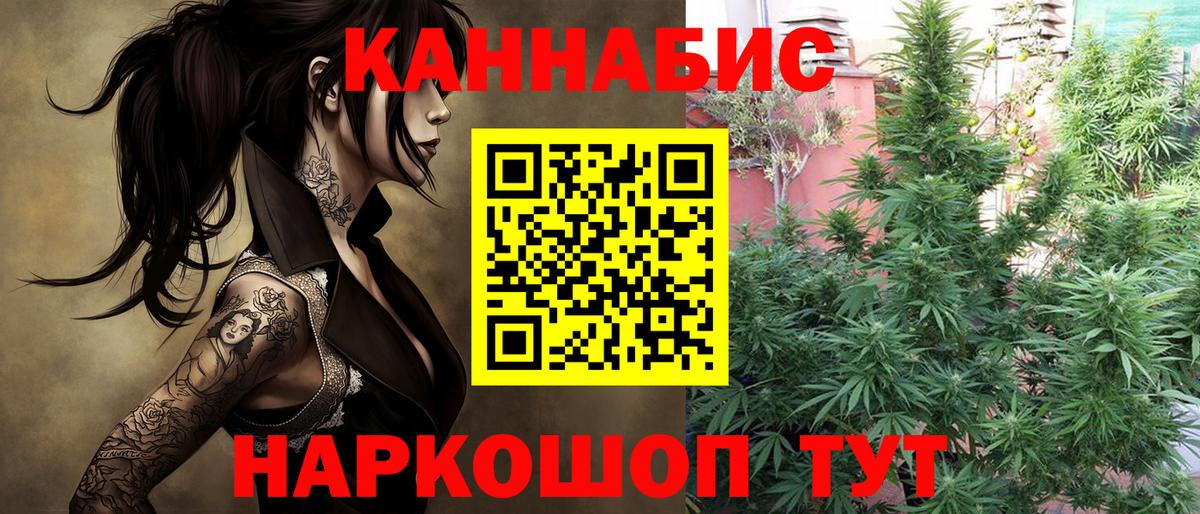 Каннабис план  МАРИХУАНА OG Kush  Каннабис Bruce Banner  Вход с VPN  Пыть-Ях 